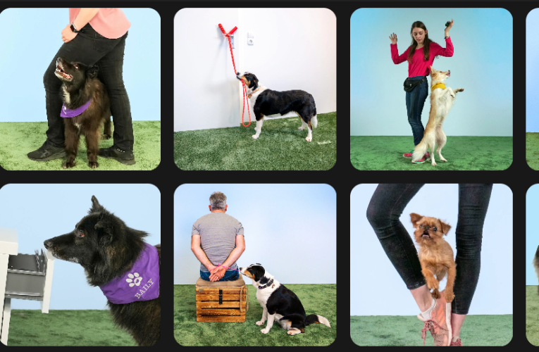 Pet tech startup, Hundeo, starts TikTok challenge to keep dogs out of shelters