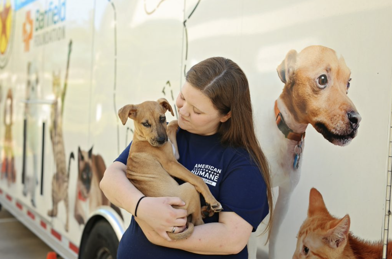 Hurricane Pet Prep: Tips to Keep Pets Safe Before, During and After the Storm