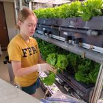 Student Technician, Gail Wery, Harvesting Food for Students & Local Food Pantry, Green Bay High School