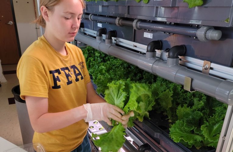 Wisconsin Agriscience Teacher Feeding Students & Training Advanced Farmers with Zero-Soil Aeroponics