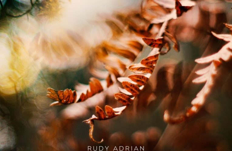 A WALK IN THE SHADOW GARDEN — Synthesist Rudy Adrian’s Latest Sonic Remedy for Stress Relief, Relaxation and Sleep