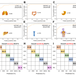 ROC curves with covariance matrices-assisted SVM model for distinguishing (A) 244 lung cancer patients, (B) 216 colorectal carcinoma patients, (C) 195 gastric cancer patients, (D) 203 hepatocellular carcinoma patients, (E) 193 esophageal carcinoma patien